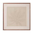 Schefflera