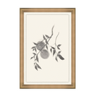 Summer Fruits I