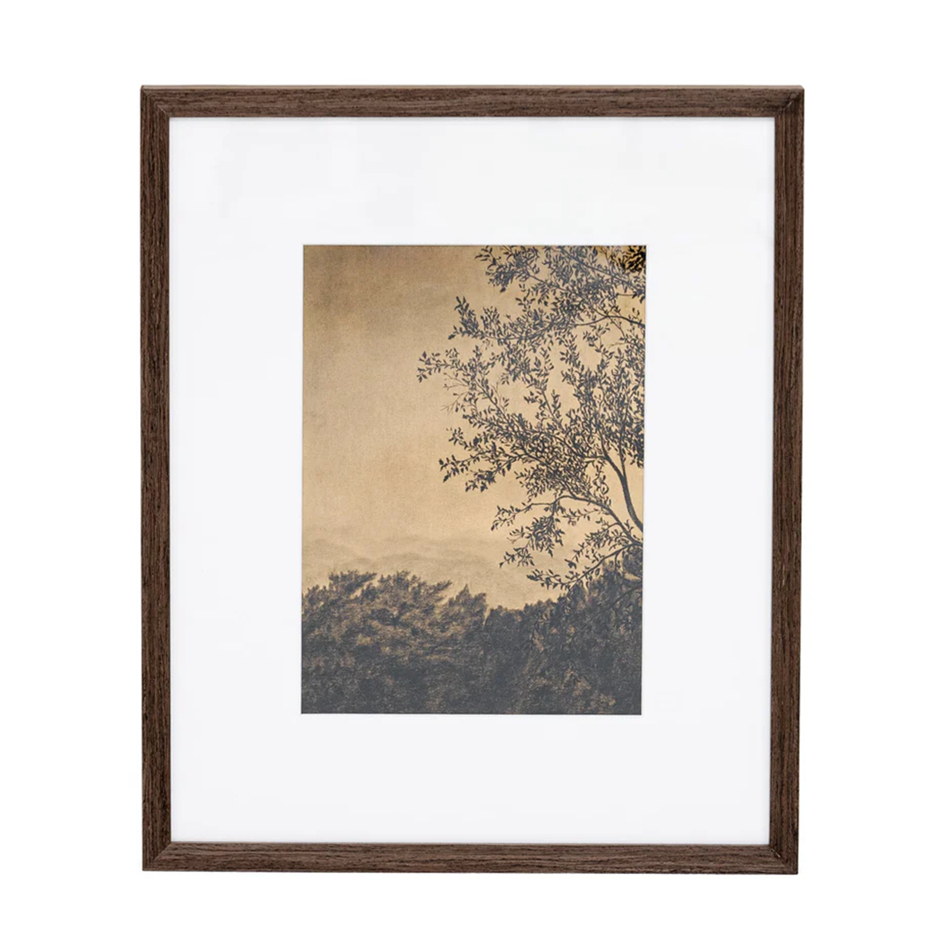 Through The Trees V by Tenaya Wickstrand, 19" x 23" , Espresso Frame