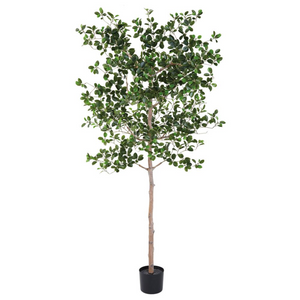 Bundled product image