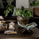 Vancel Reclaimed Wood Book Holder - Pure Salt