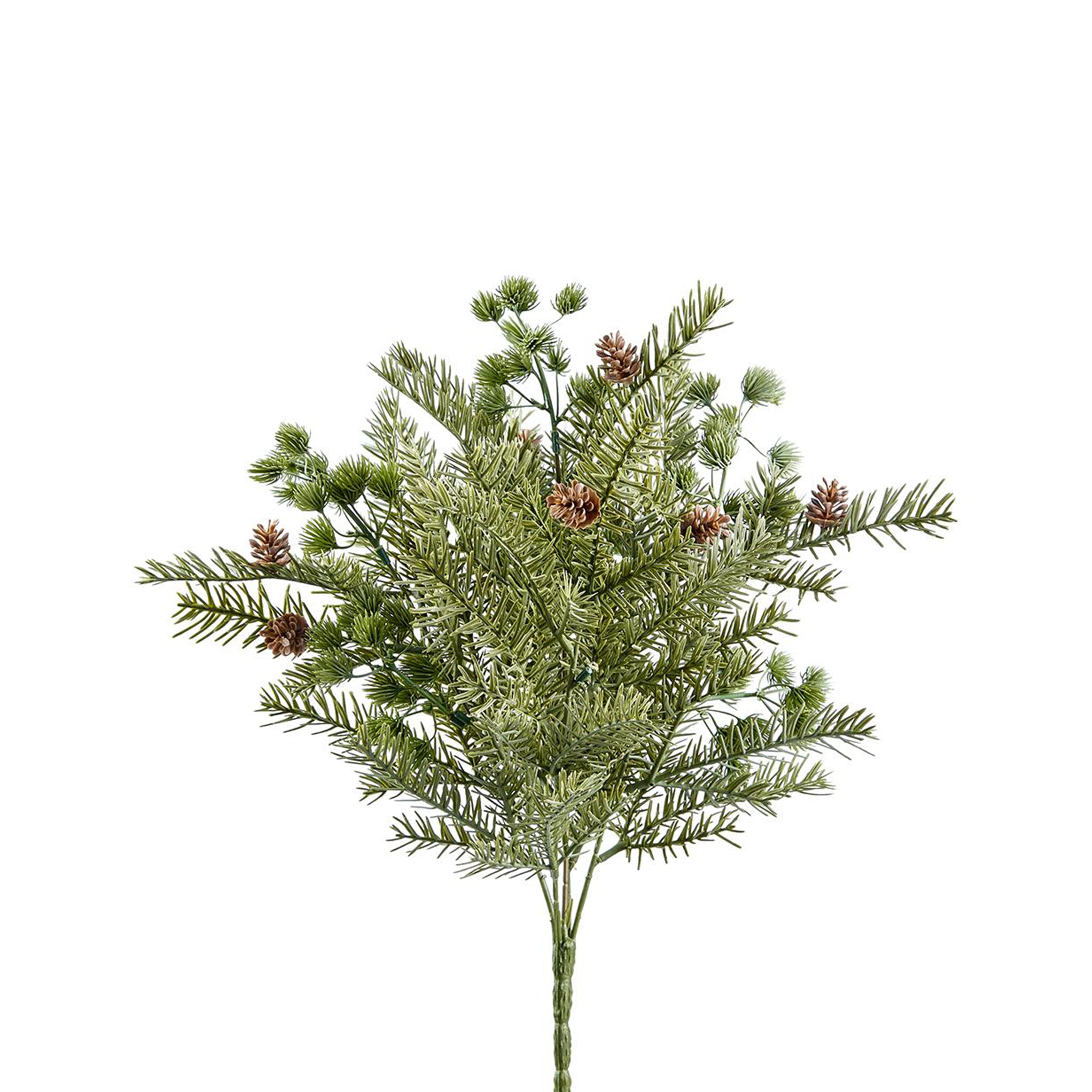 Whispering Pine Bush