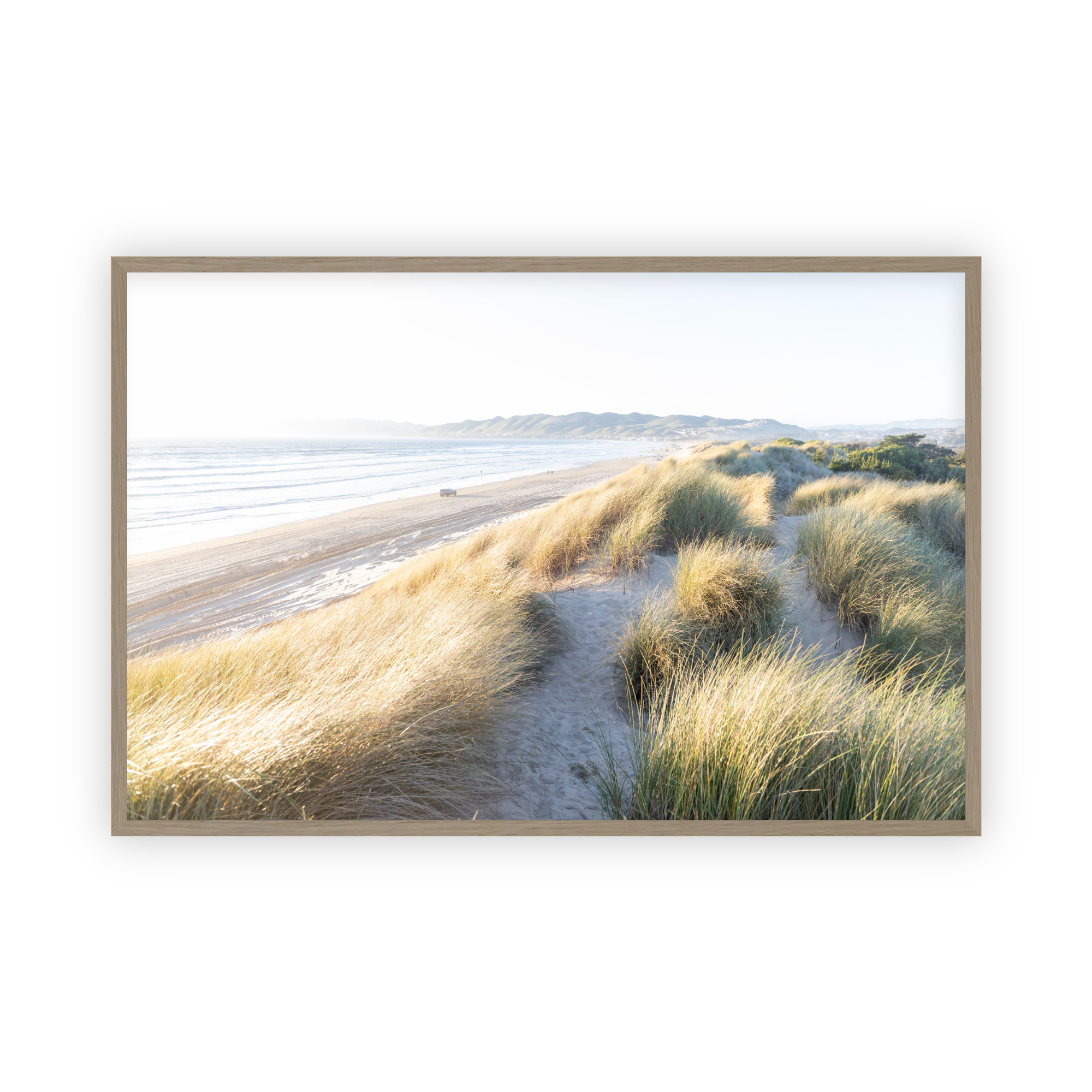 Breezy Sand Dunes by Caroline Pacula - Pure Salt