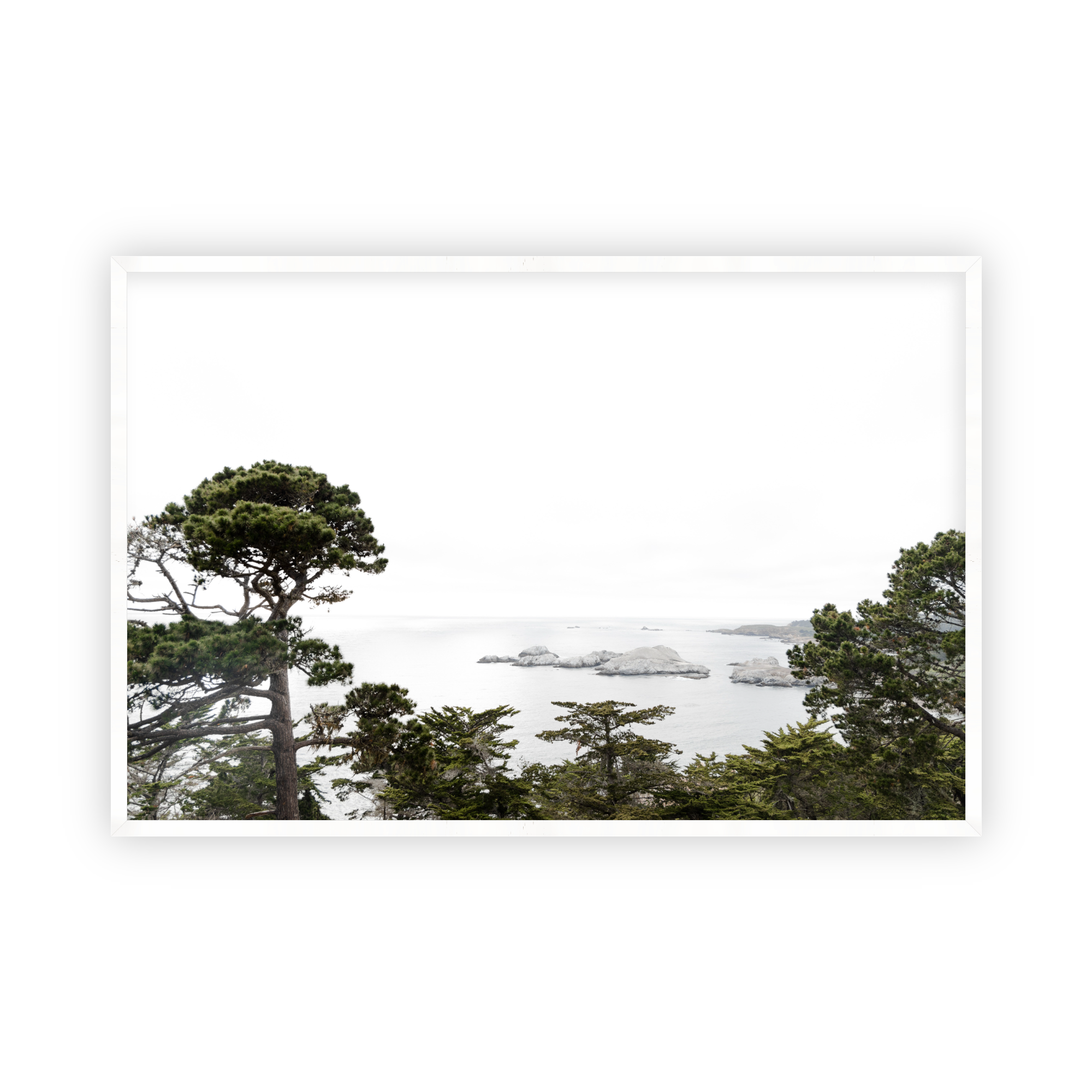 Carmel Vista by Caroline Pacula-Pure Salt