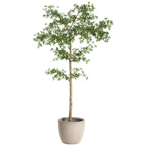 Bundled product image