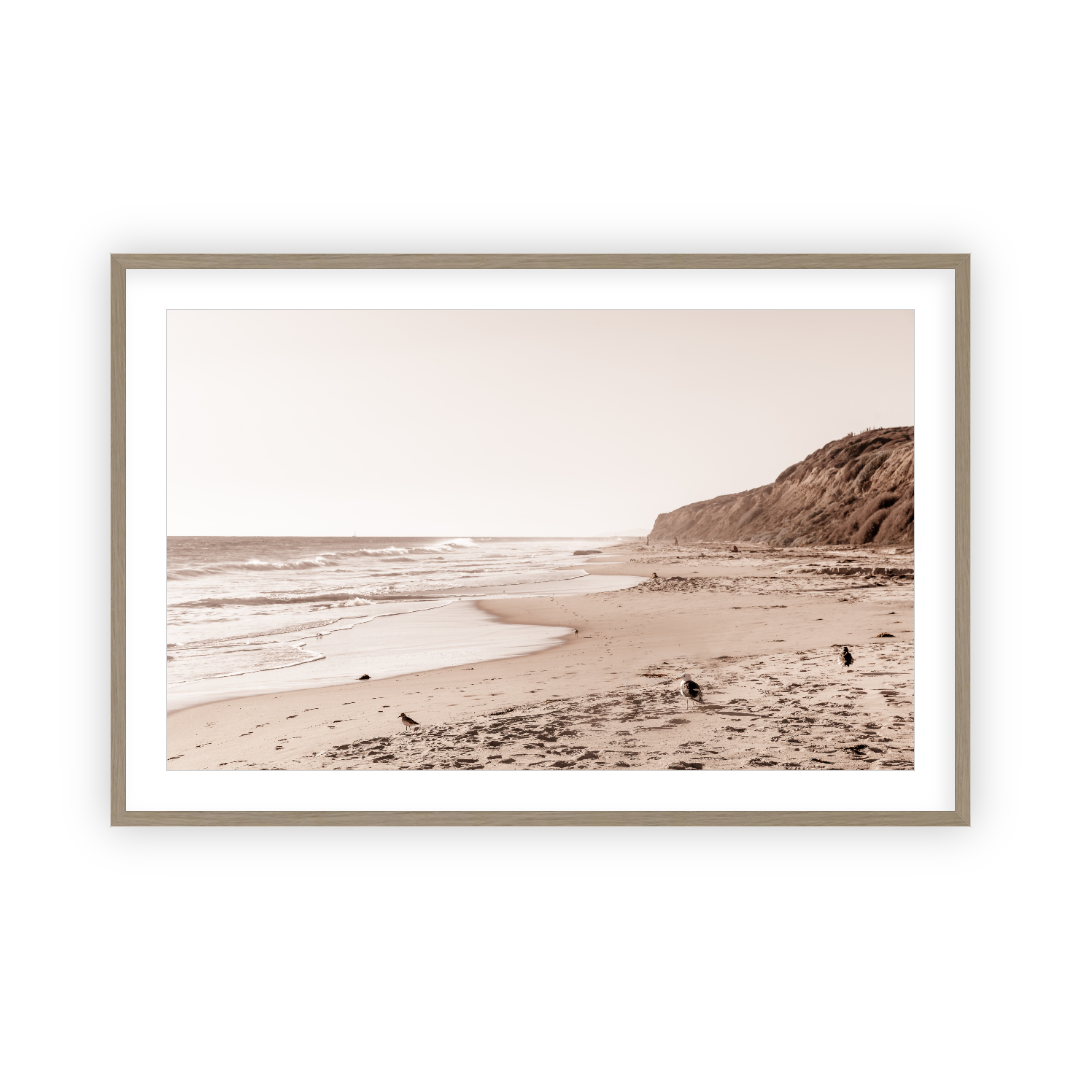 Crystal Cove Beach by Carly Tabak Pure Salt Shoppe