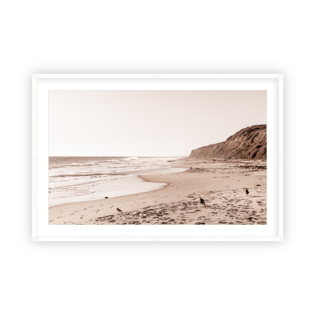 Crystal Cove Beach by Carly Tabak Pure Salt Shoppe