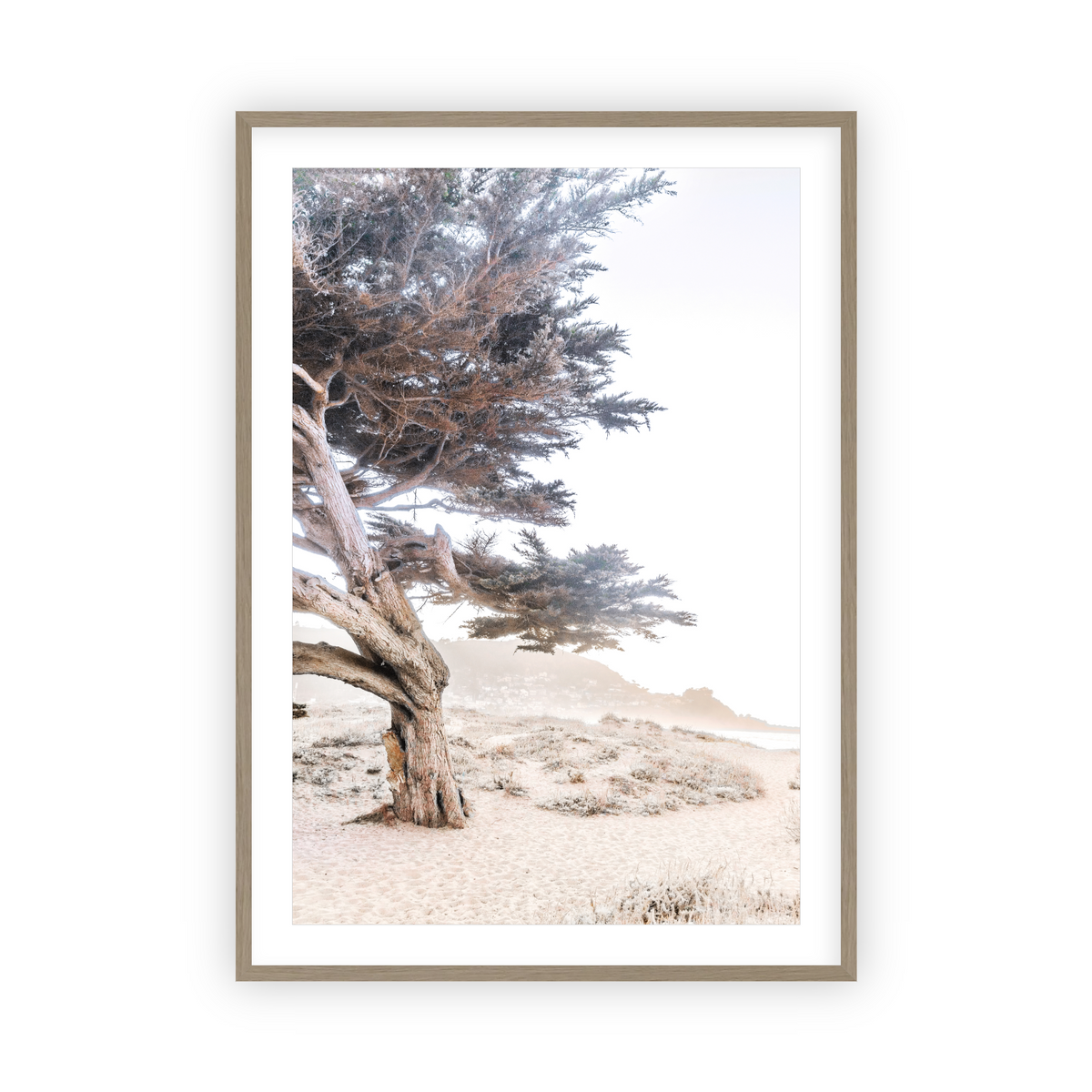 Cypress Tree by Caroline Pacula-Pure Salt