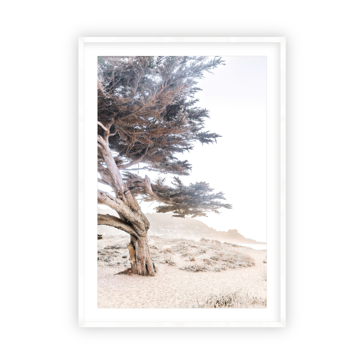 Cypress Tree by Caroline Pacula-Pure Salt