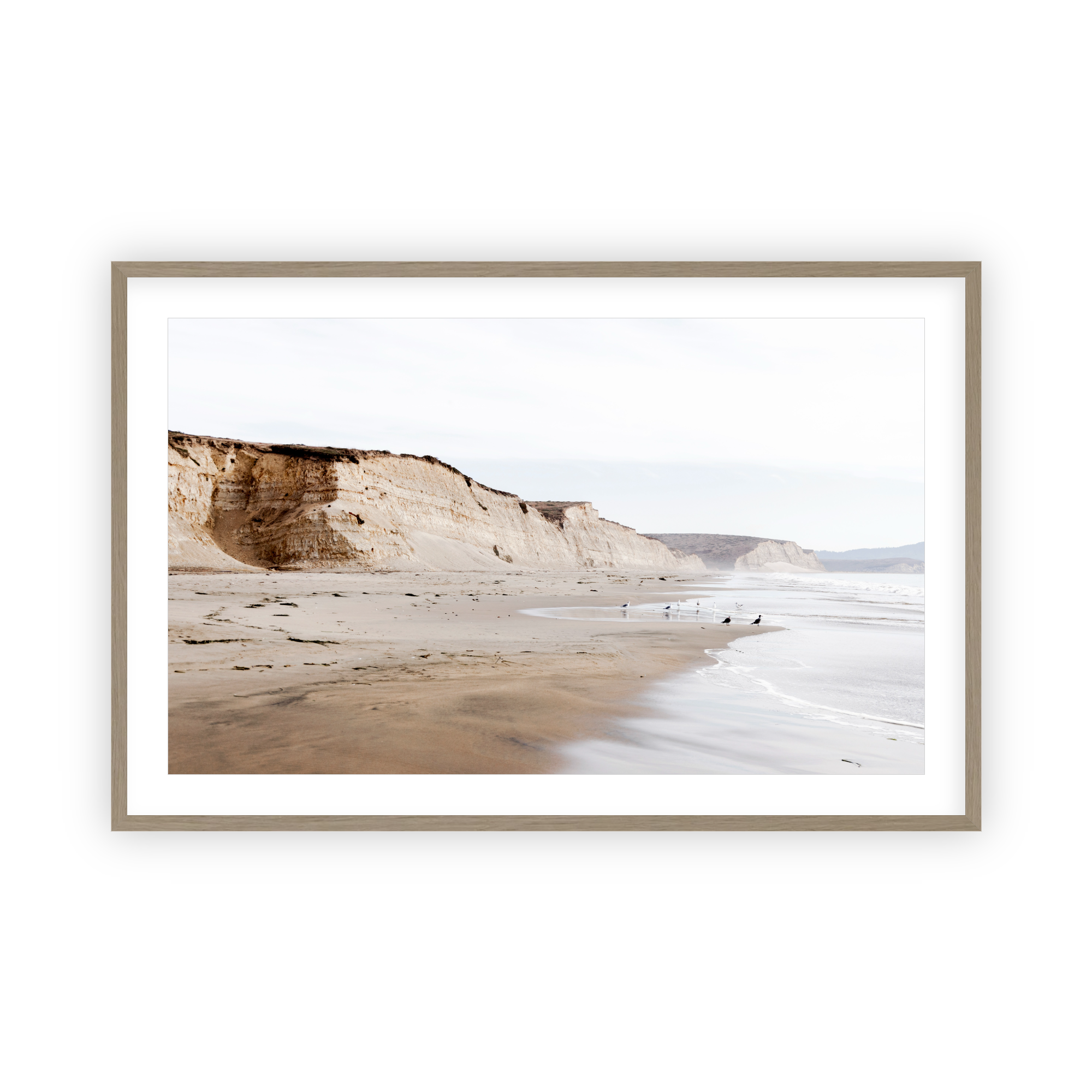 Drakes Bay