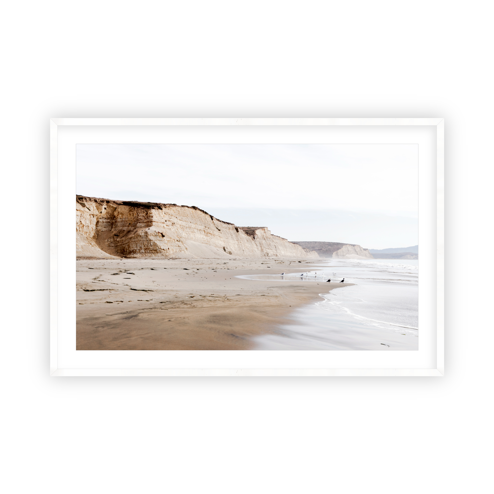 Drakes Bay