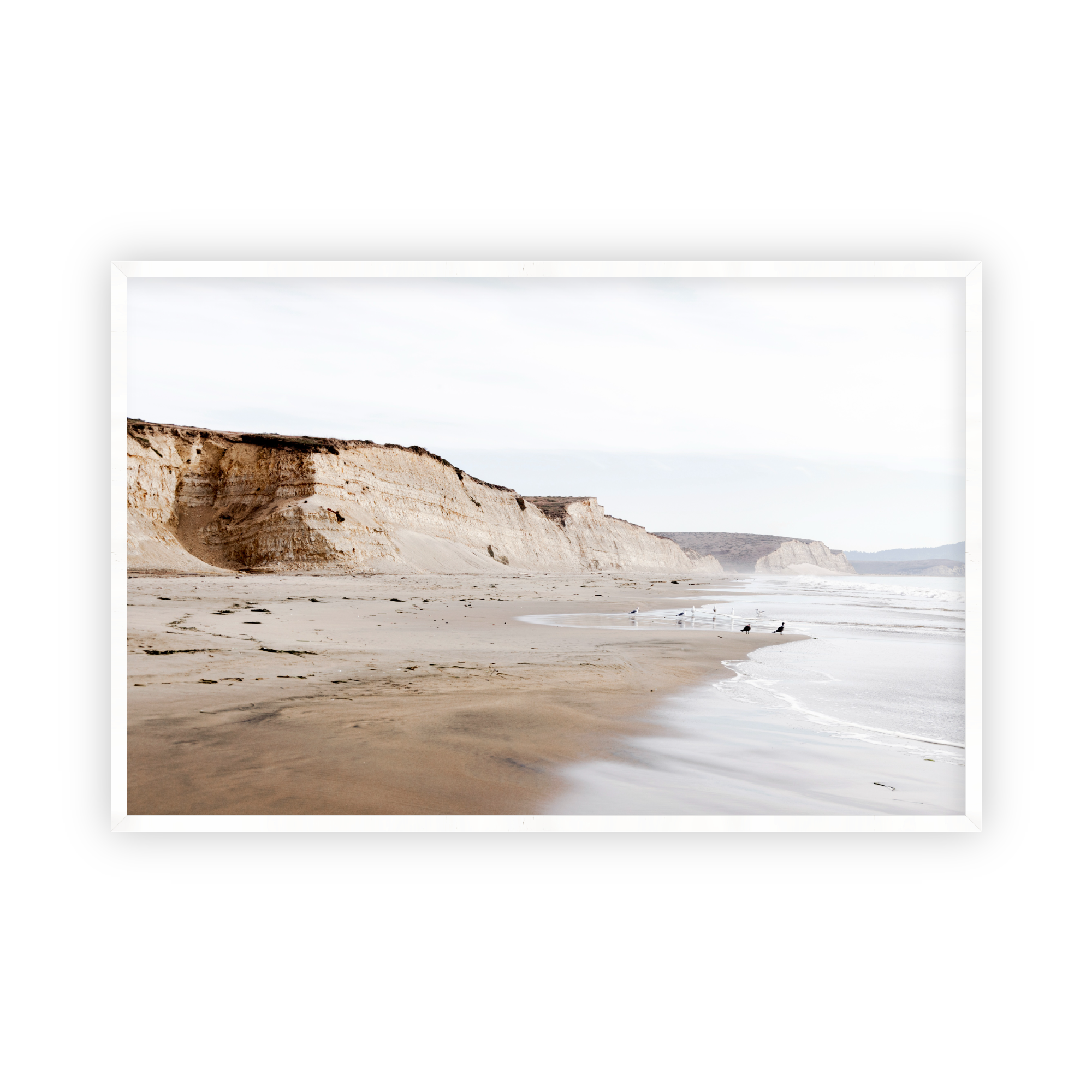 Drakes Bay
