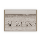 Endless Play by Carly Tabak Pure Salt Shoppe