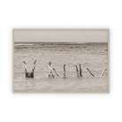 Endless Play by Carly Tabak Pure Salt Shoppe
