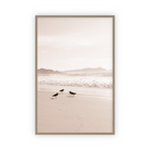 Golden Coast by Carly Tabak Salt Shoppe