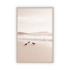 Golden Coast by Carly Tabak Salt Shoppe