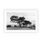 Lone Cypress by Carly Tabak Pure Salt Shoppe