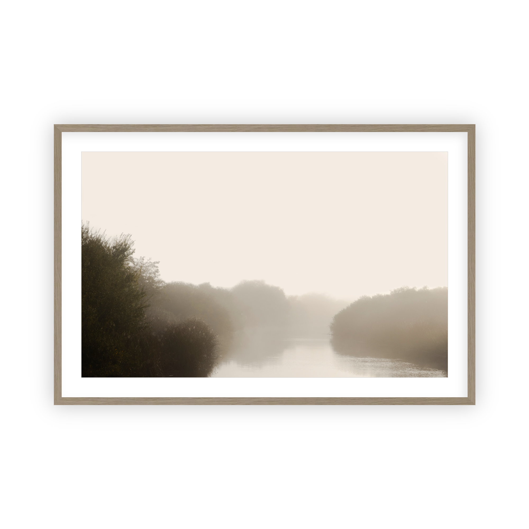 Misty Mornings 