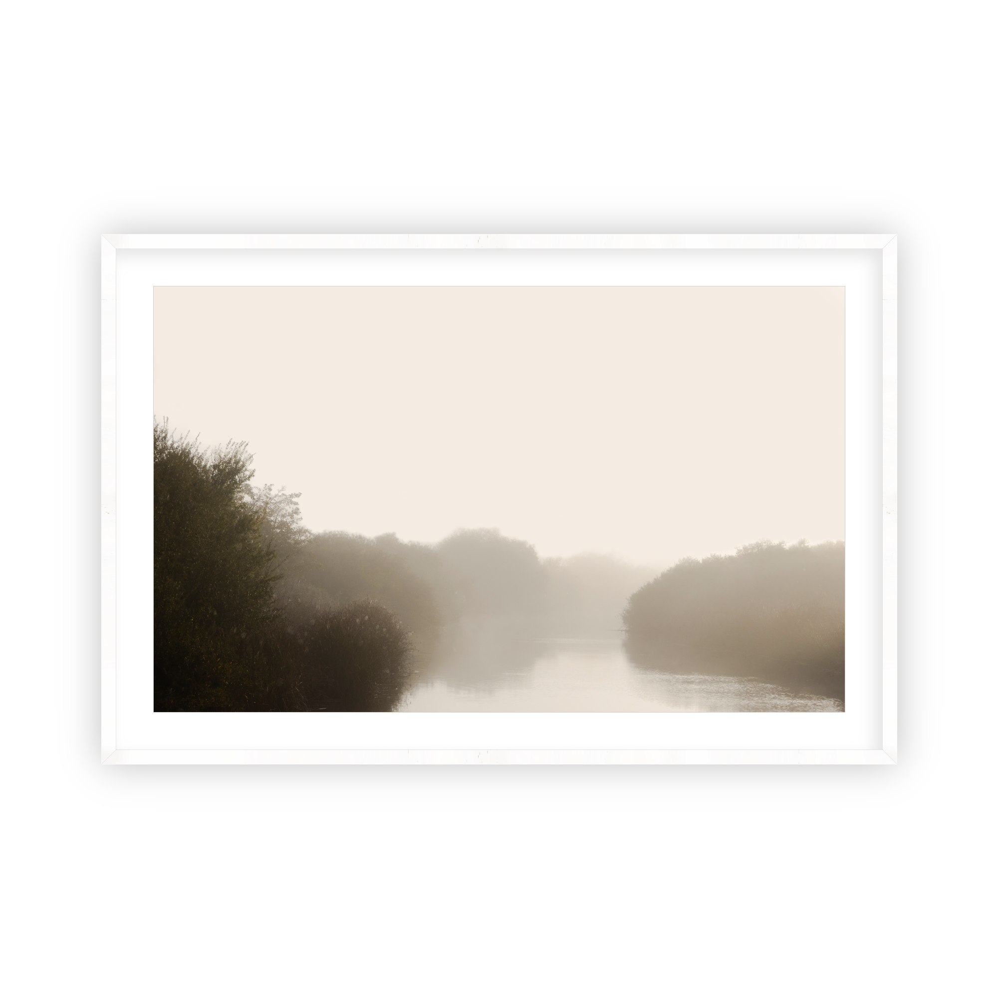 Misty Mornings 