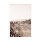 Path to the Sea by Carly Tabak Pure Salt Shoppe