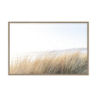Where the Dunes Breathe by Caroline Pacula Pure Salt Shoppe
