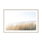 Where the Dunes Breathe by Caroline Pacula Pure Salt Shoppe