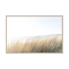 Where the Dunes Breathe by Caroline Pacula Pure Salt Shoppe