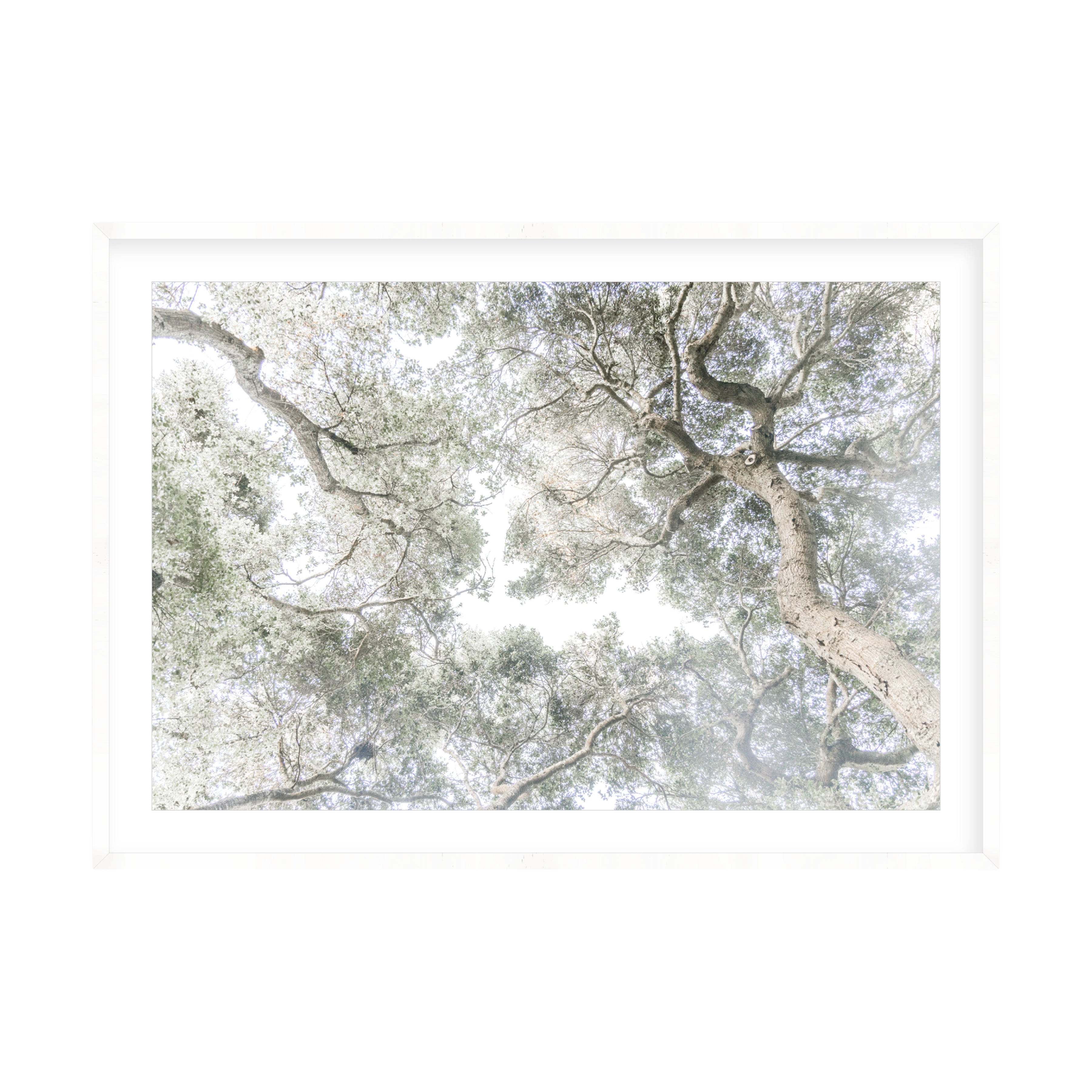 Whispering Light by Caroline Pacula Pure Salt Shoppe