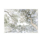 Whispering Light by Caroline Pacula Pure Salt Shoppe