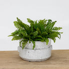 Lagos Pot - Pure Salt Shoppe