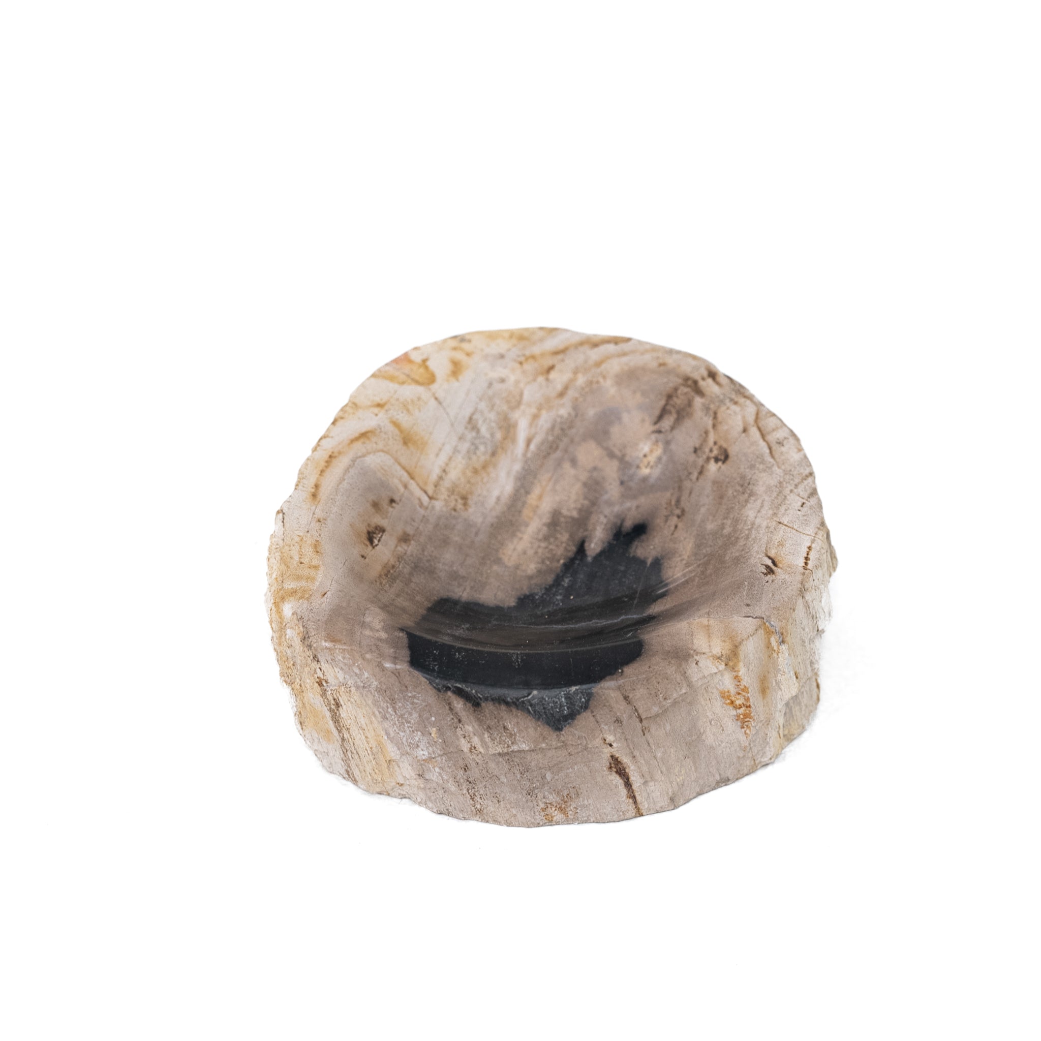 Jed Petrified Wood Soap Dish - Pure Salt Shoppe