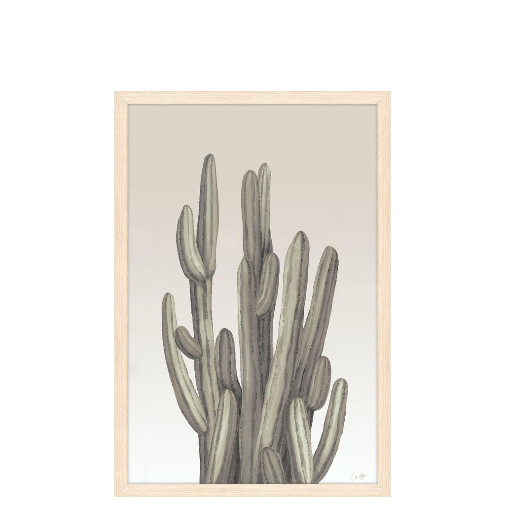 Cacti 1 - Pure Salt Shoppe