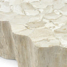 Camilla Fossilized Clam Coffee Table - Pure Salt Shoppe