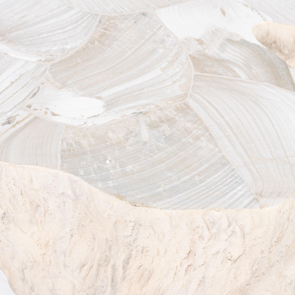Camilla Fossilized Clam Side Table - Pure Salt Shoppe