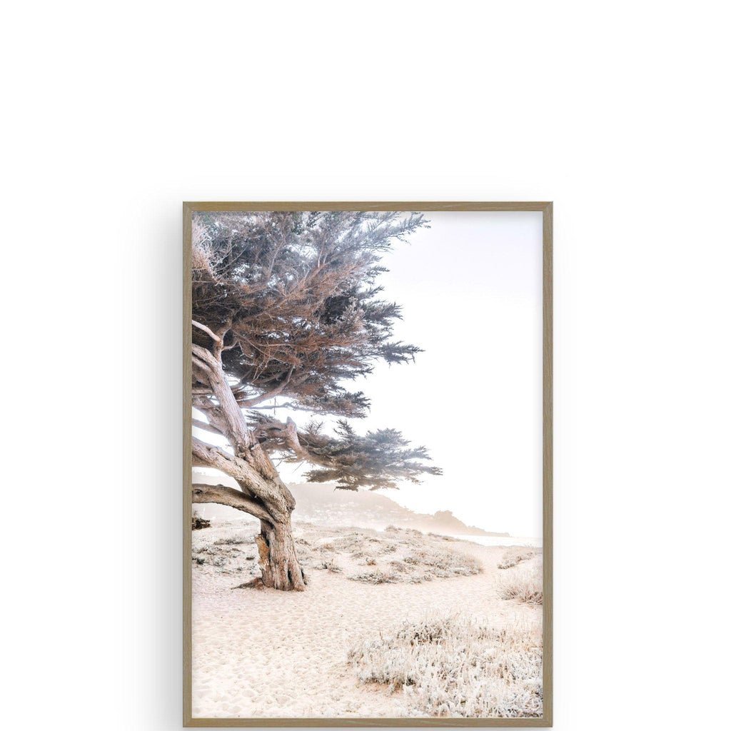 Cypress Tree by Caroline Pacula - Pure Salt Shoppe