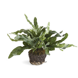 Bundled product image