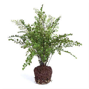Bundled product image
