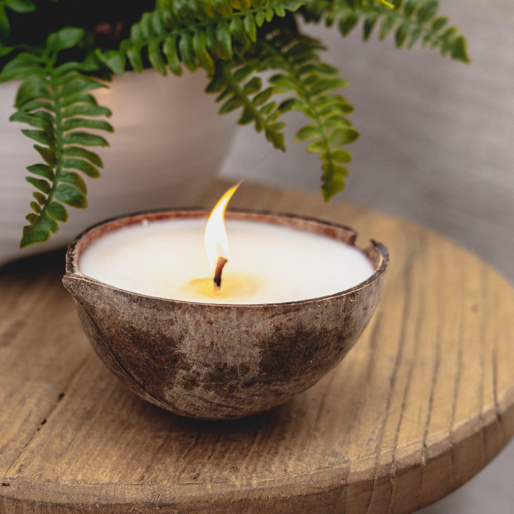 Coconut Grove Candle - Pure Salt Shoppe
