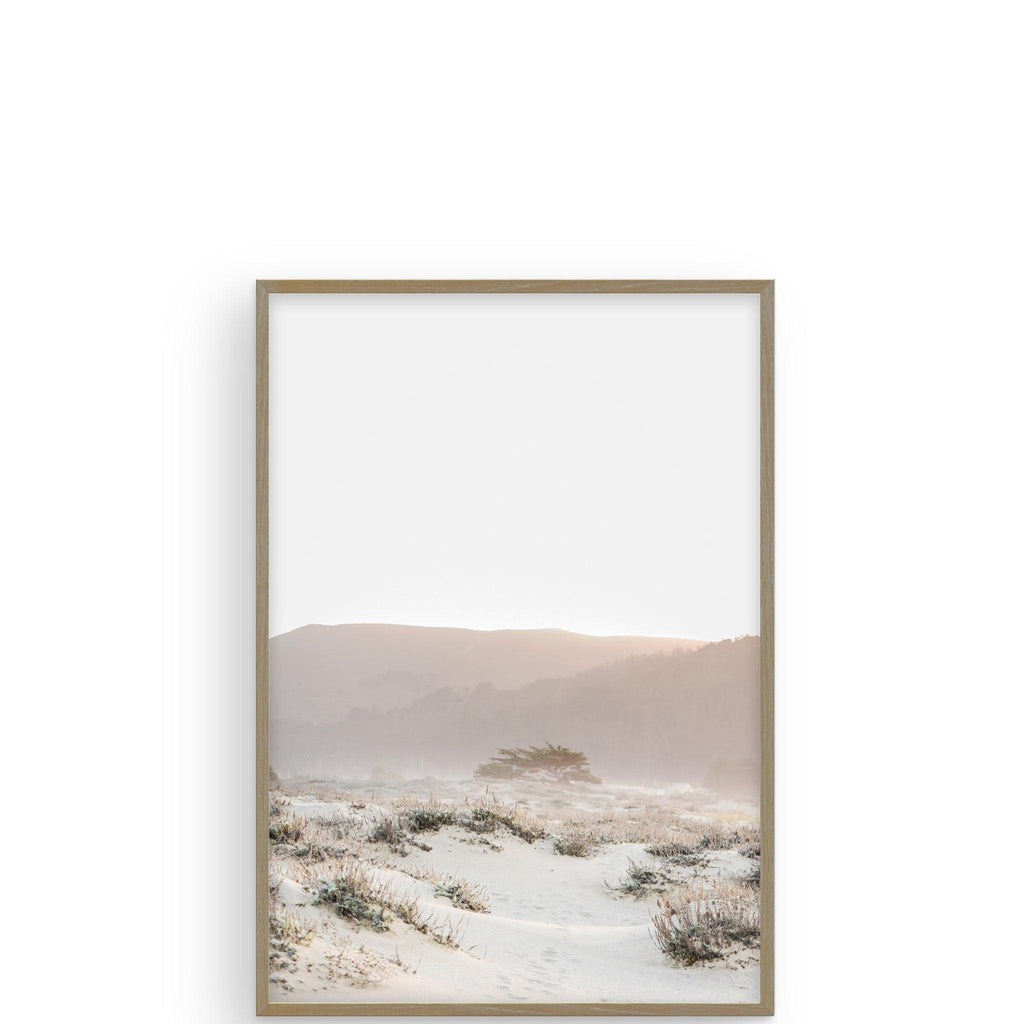 Ocean Mist by Caroline Pacula - Pure Salt Shoppe