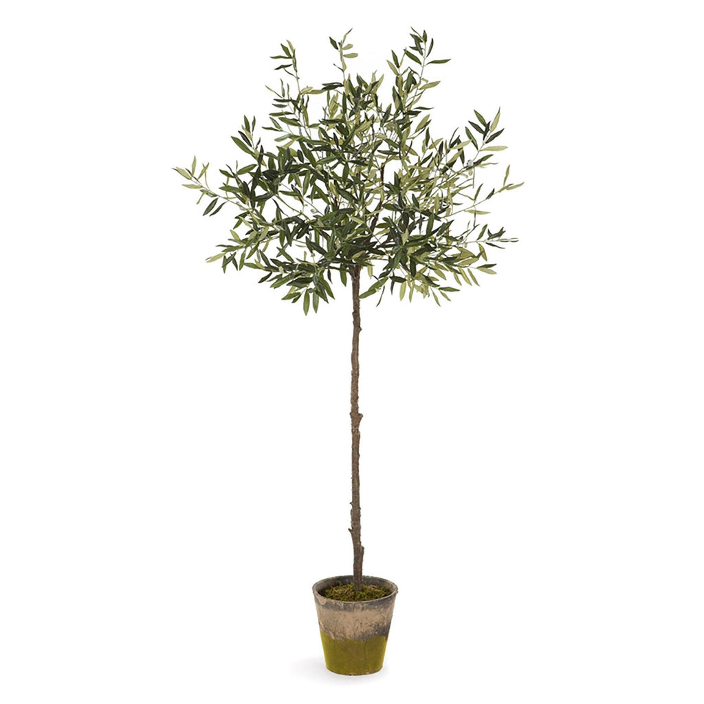 Olive Tree 69" - Pure Salt Shoppe